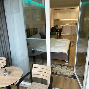 Luxury Apartment
